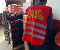Inspectorii ANAF–Antifraudă și ANSVSA controlează comerțul de legume-fructe 